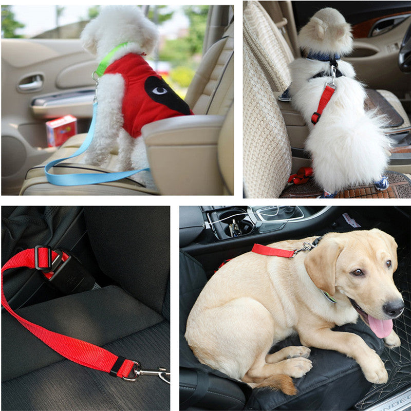 Bee Safe Pet Belt