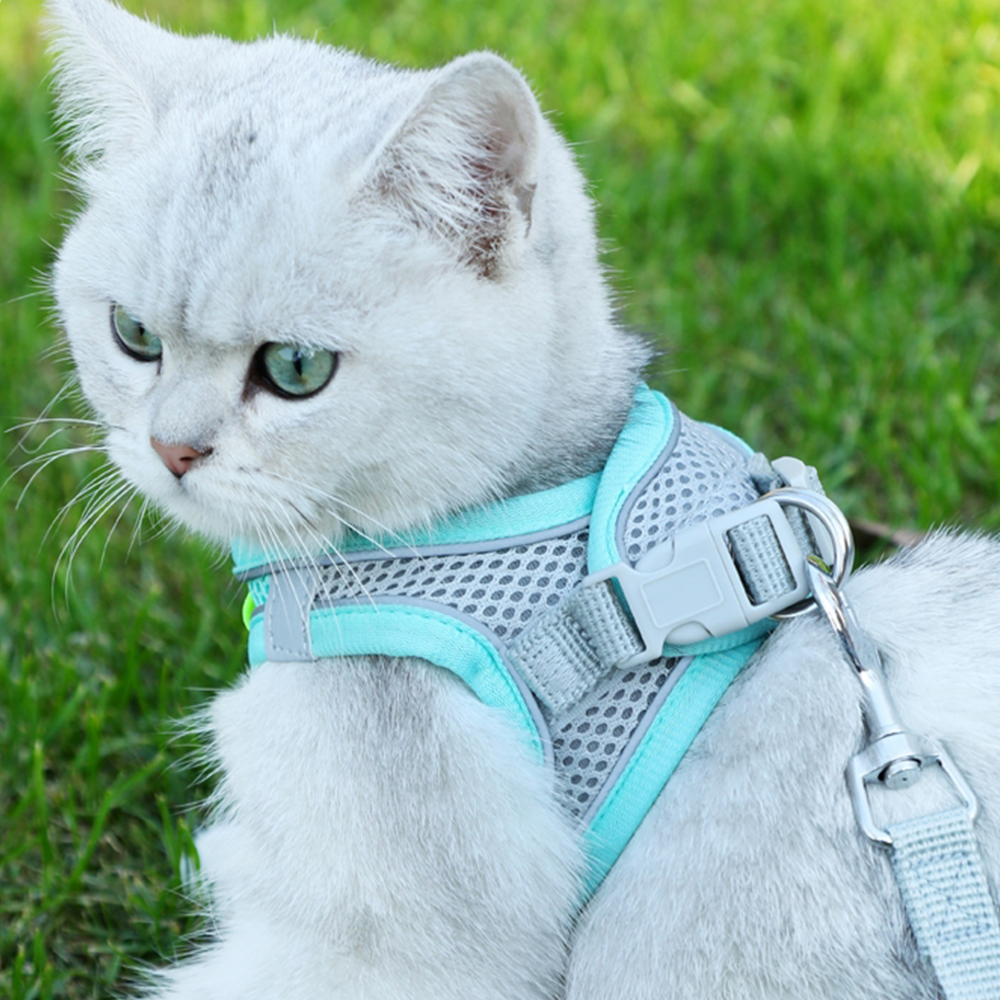 Bee Reflective Pet Harness